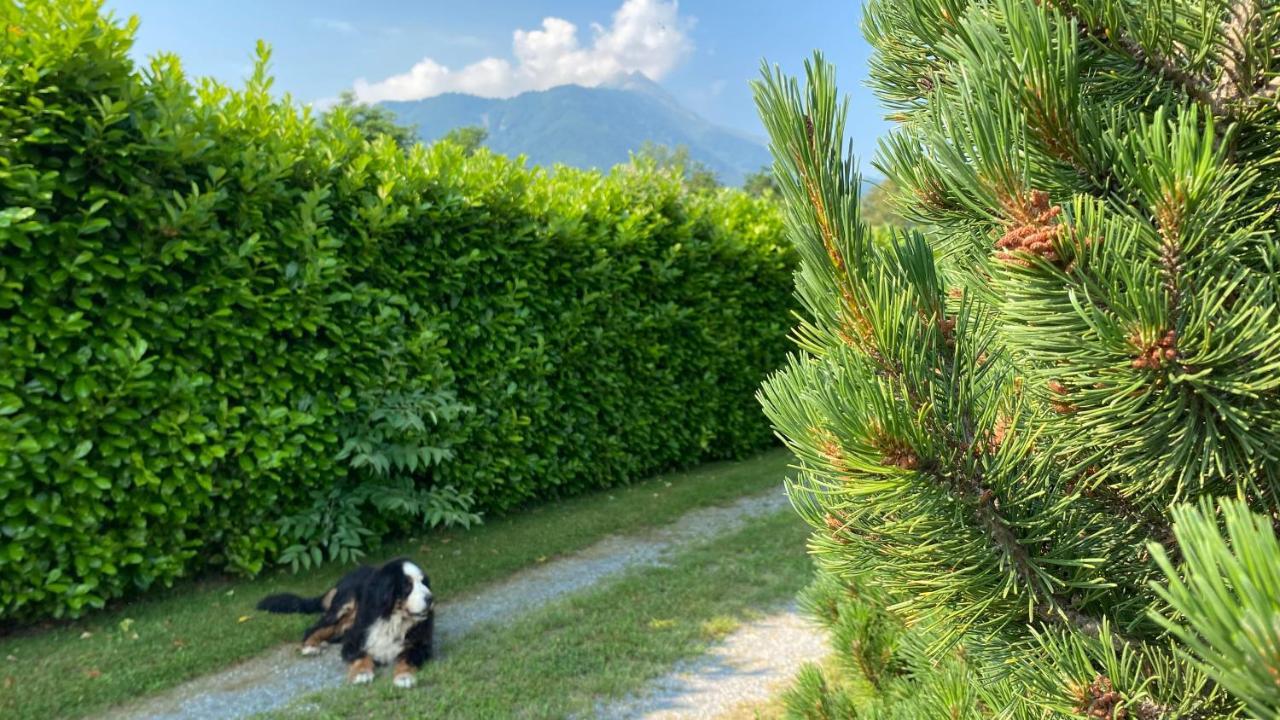 Villa Giulia - Bisalta Peveragno Eksteriør bilde